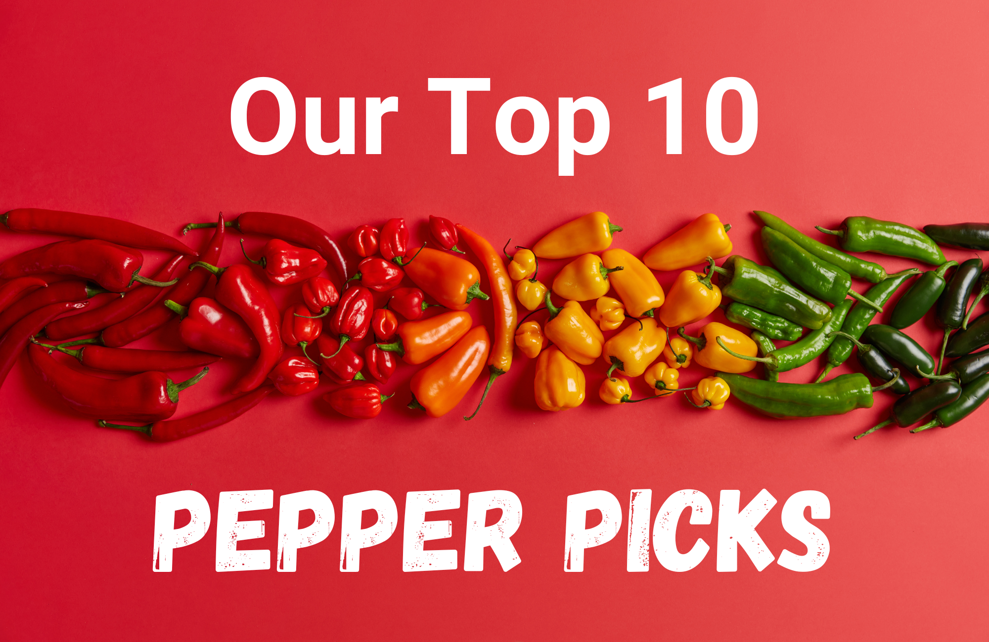 Colorful peppers on a red background with the text "Our Top 10 Pepper Picks"