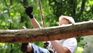 treetree sturz vom balken