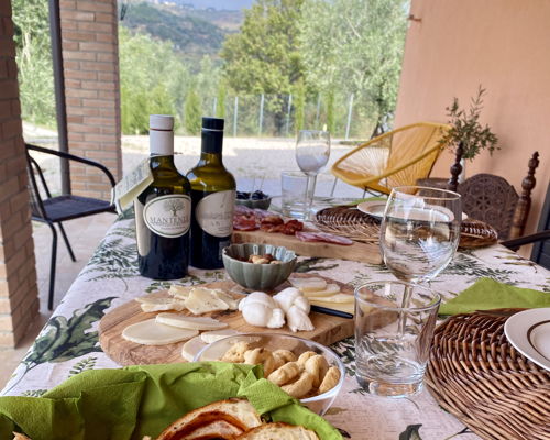 Food experiences Tricarico: Lucana tasting in a centuries-old organic olive grove