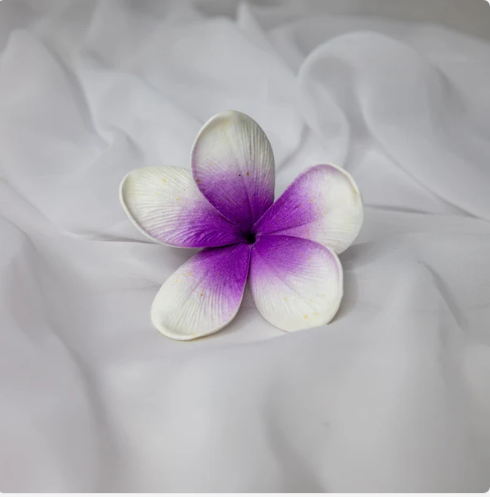 Picasso Frangipani Flowerhead (6 Pack) - Realistic Artificial Flowers - Image 2