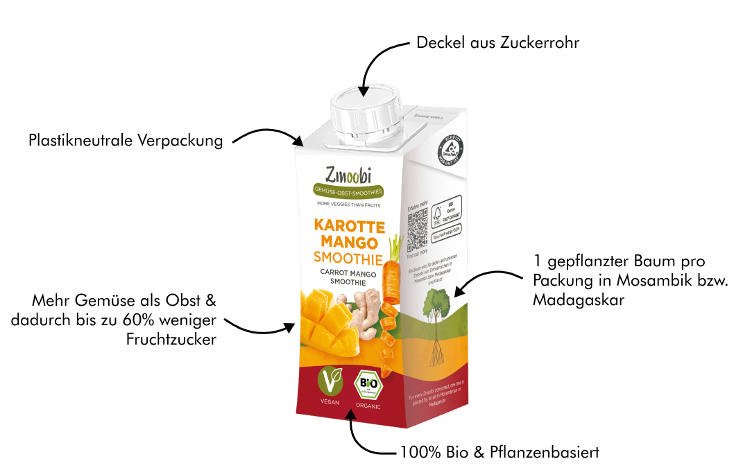 Bio Gemüse Obst Smoothie mit Ingwer