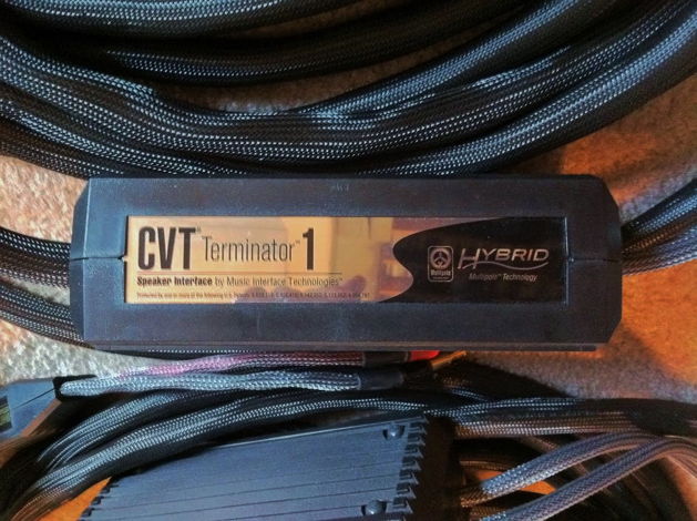 MIT Terminator CVT1 24' Speaker Cable