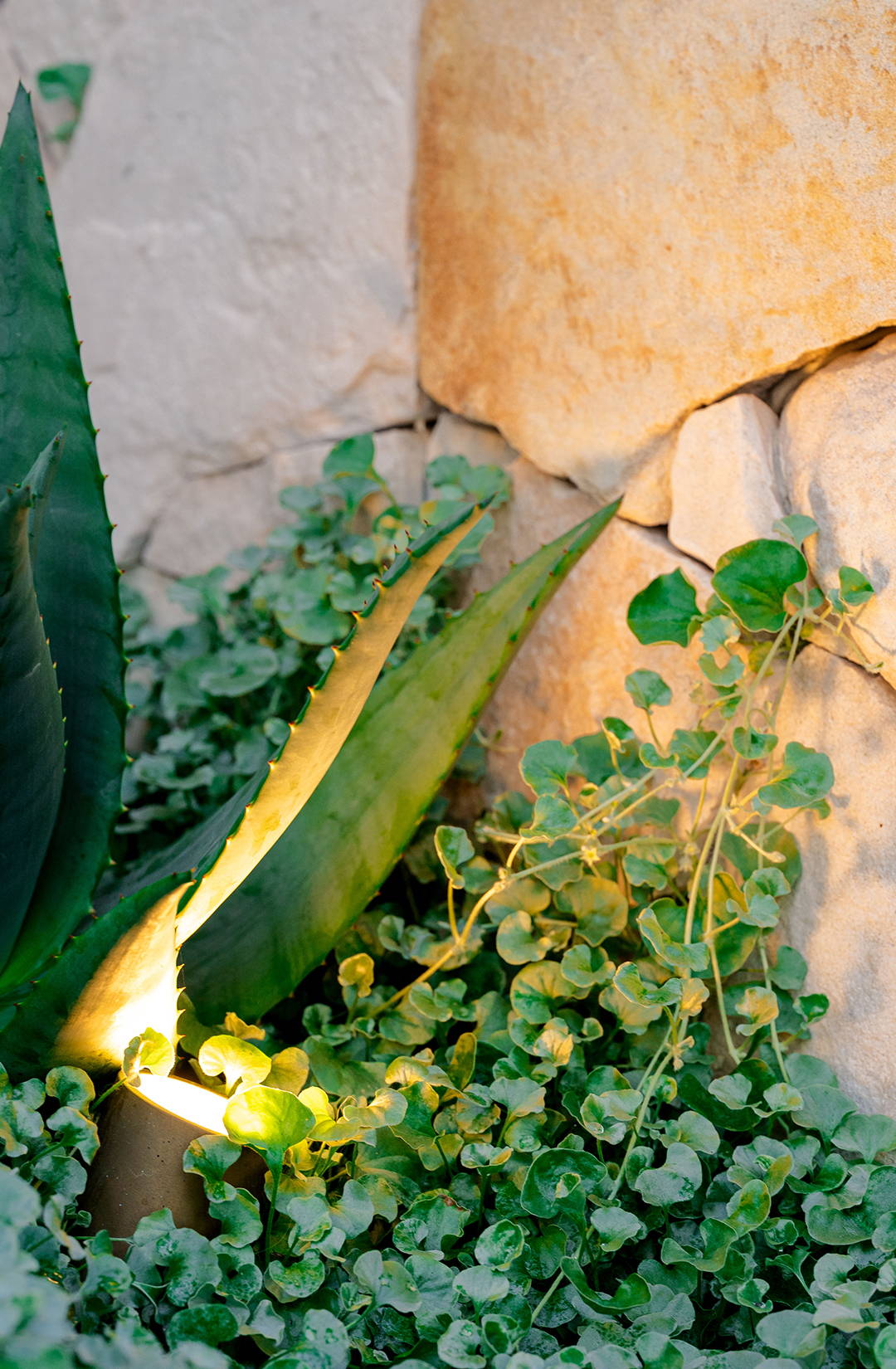 Havit Lighting - Garden Lighting by Havit - Tivah Solid Brass TRI Colour LED Garden Spike Light (Aged)