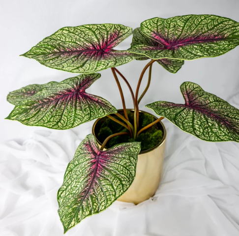 Moss Green Caladium Leaf - Realistic Artificial Flowers and Greenery