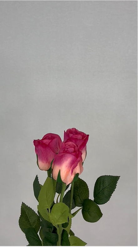 Fuchsia Real Touch Open Bud Rose - Realistic Artificial Flowers - Image 4