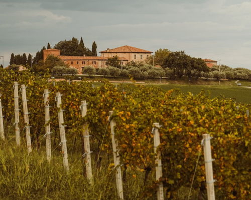 Tour enogastronomici Montalbano: Lo Sfoglino del Castello
