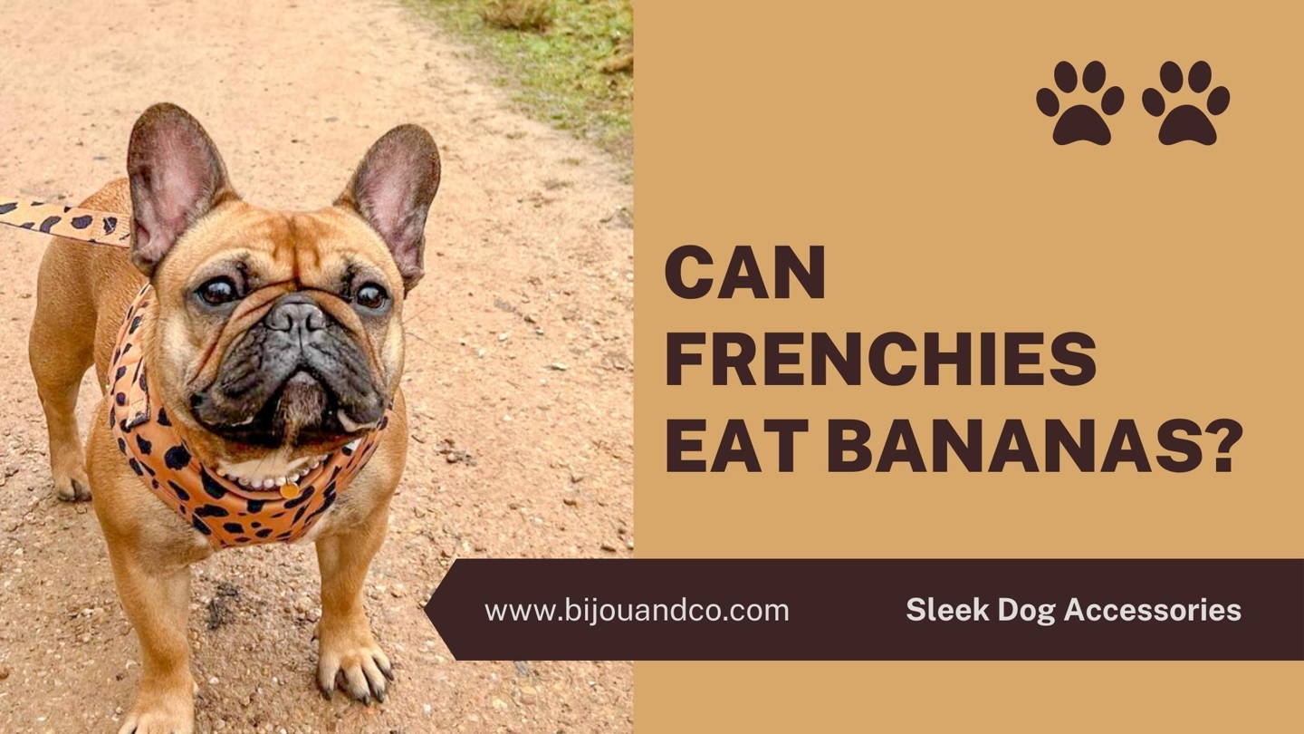 can french bulldog puppies eat bananas