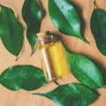tea tree oil aids honeybee disease prevention