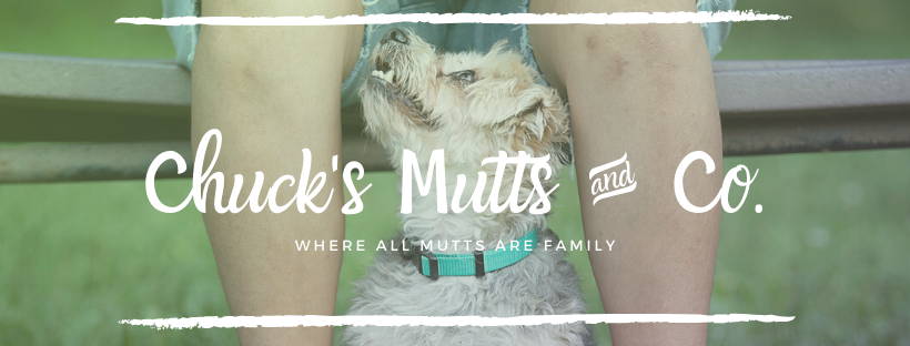 Chuck's Mutts & Co - Where all mutts are family
