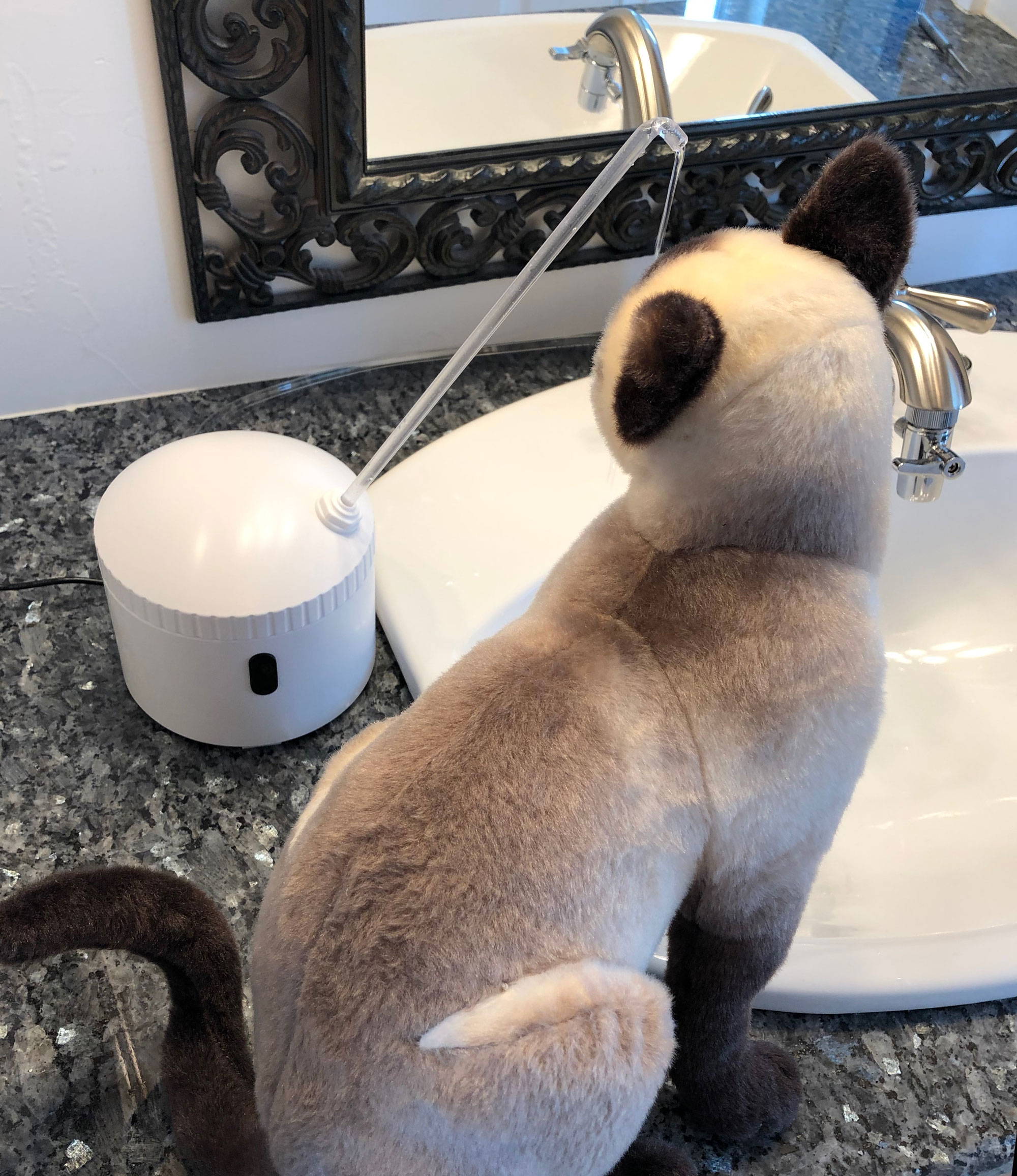 Stuffy the cat posing next to the AquaPurr installed at a bathroom sink