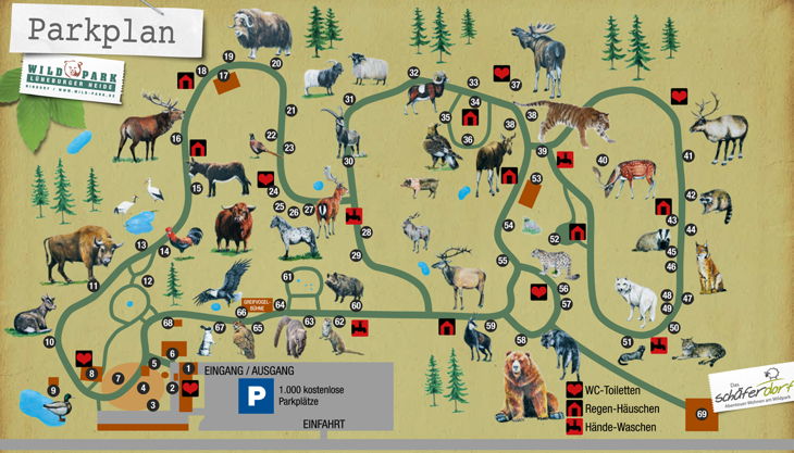 Tierspuren gießen - Wildpark Lüneburger Heide