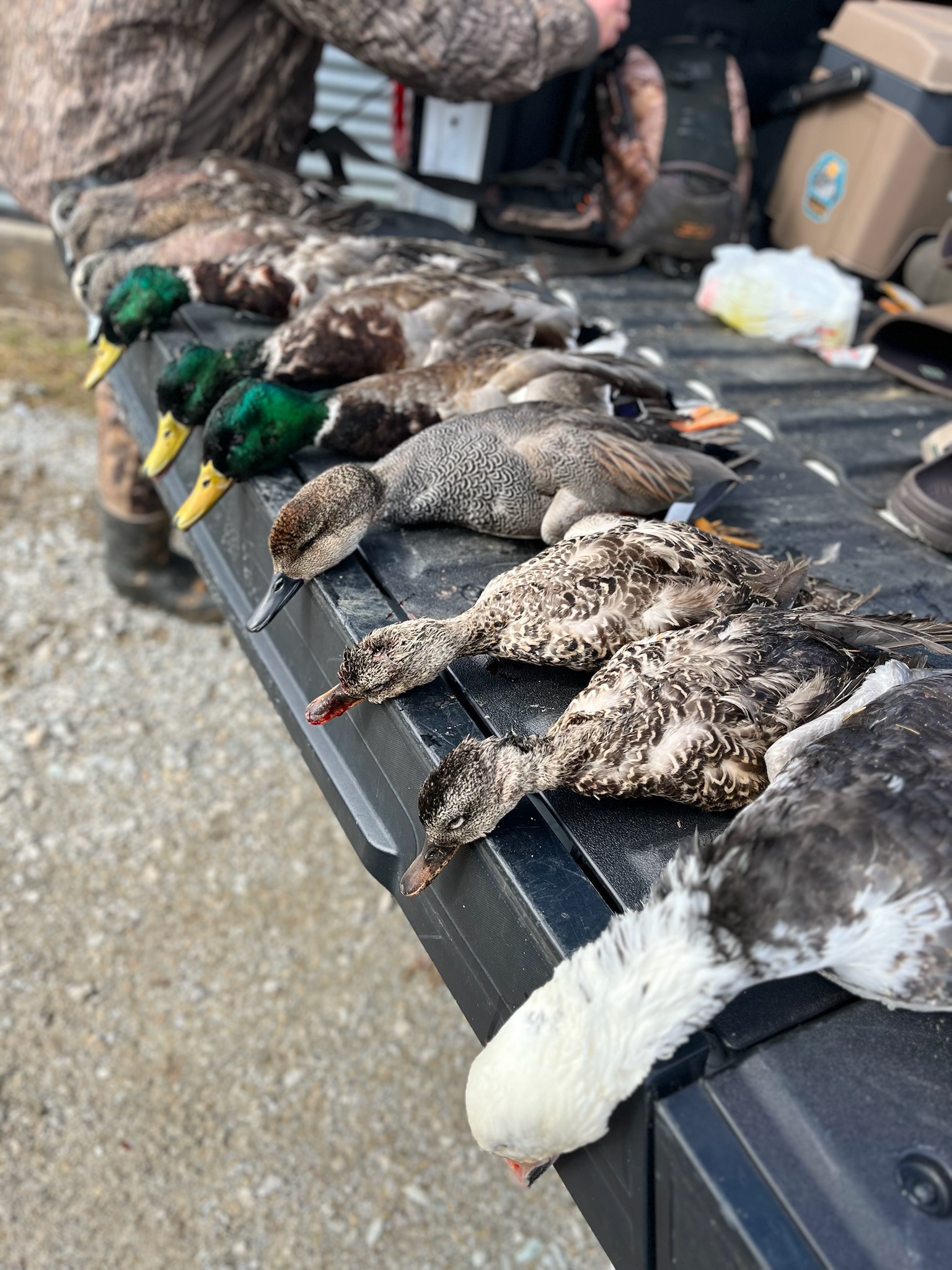 Seasonal hunting scene