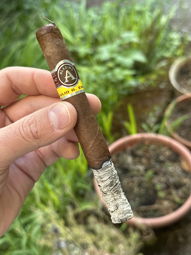 Cigar Session Photo