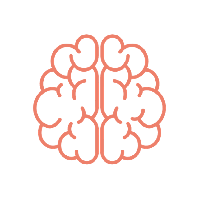Brain icon