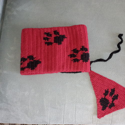 Bijpassende kap en hondenbandana