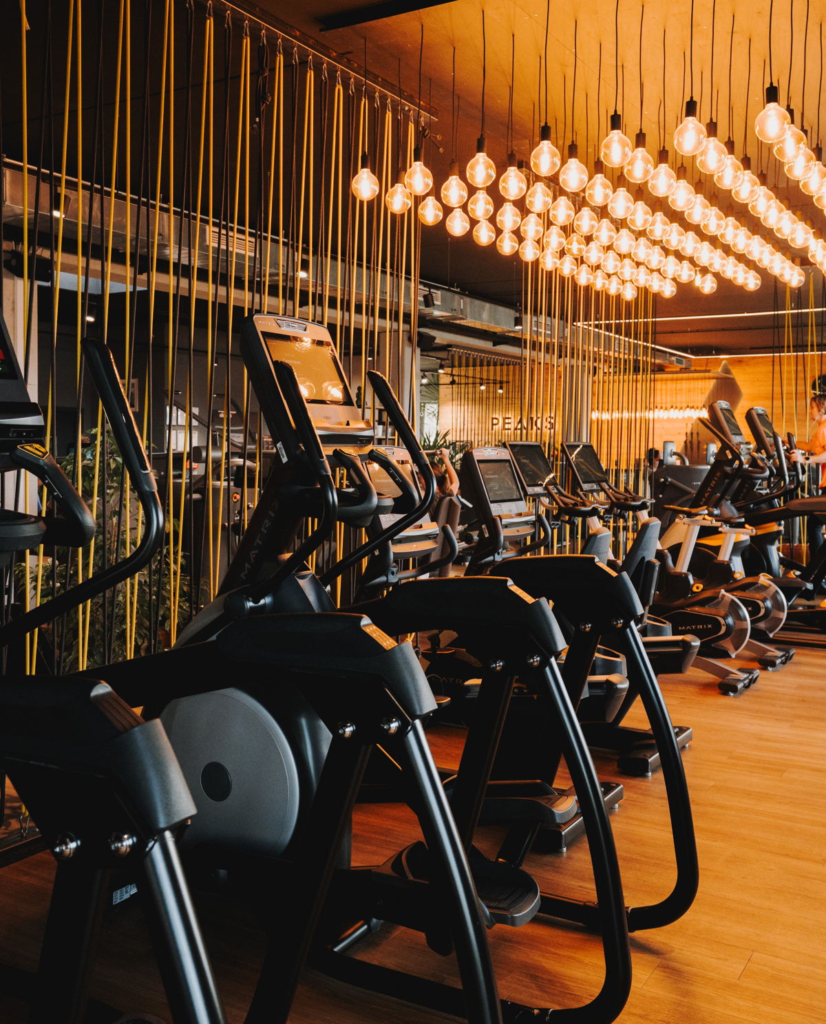 Vorteile bei deinem Cardiotraining im Peaks