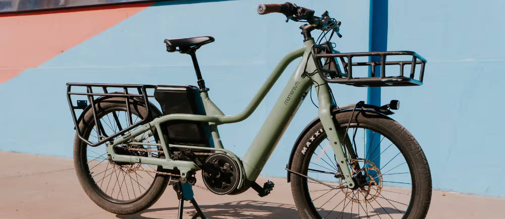 Momentum PakYak standing on its kickstand