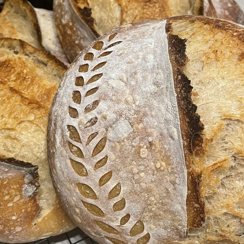 Second Act Sourdough — photo from hotplate.com