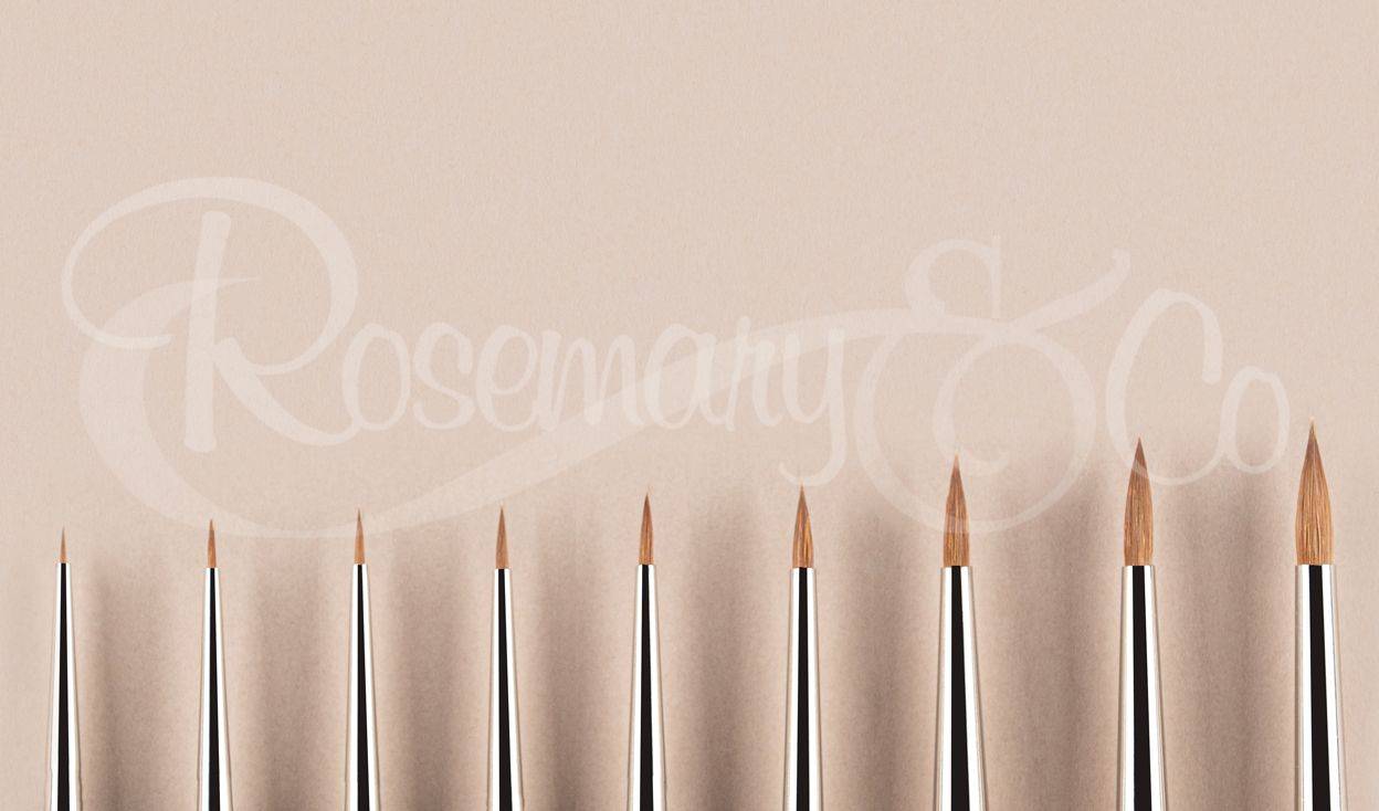 Rosemary & Co Series 33