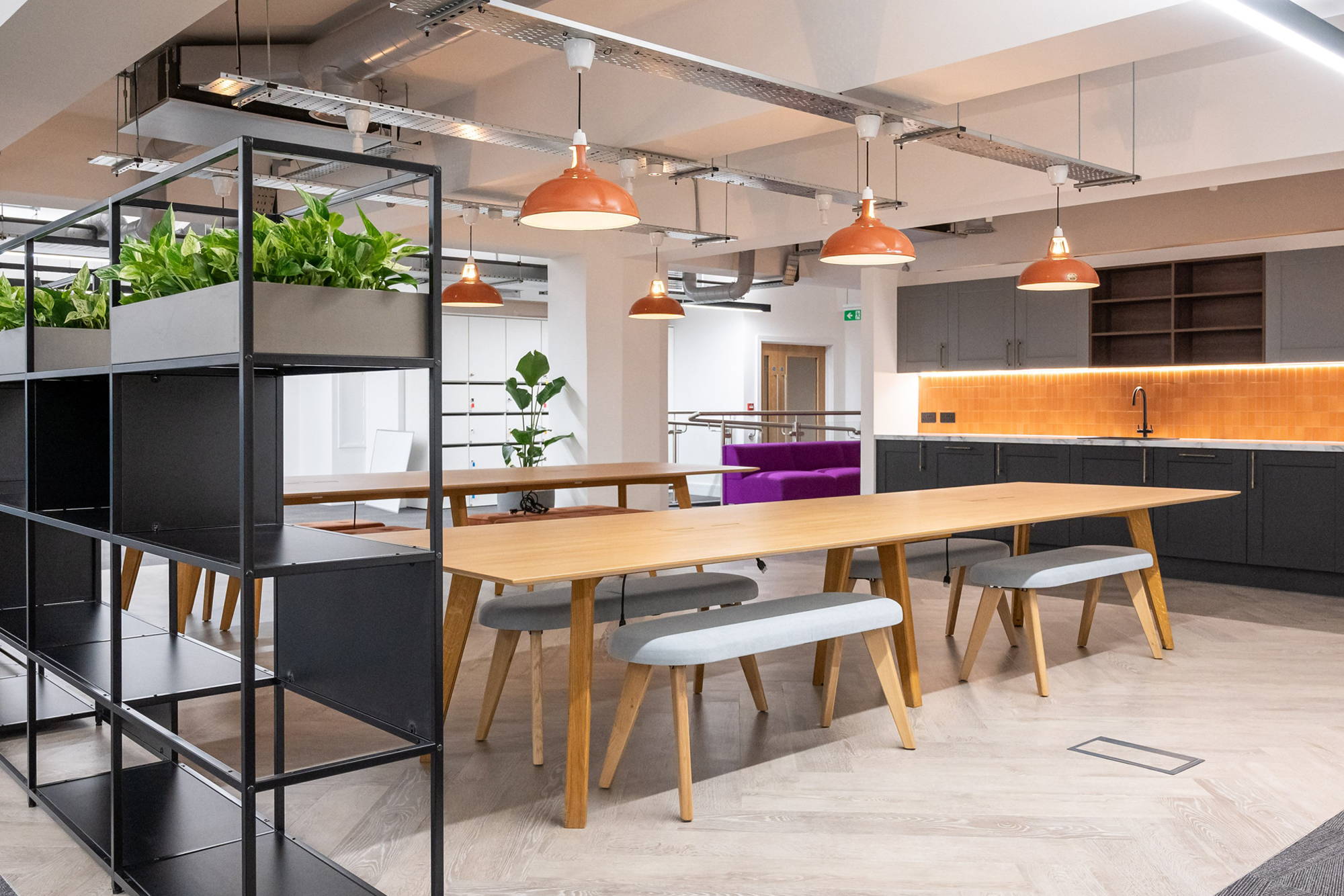 Five Large Coolicon Pendant Lampshades hanging over two long wooden tables inside a modern communal office kitchen space.