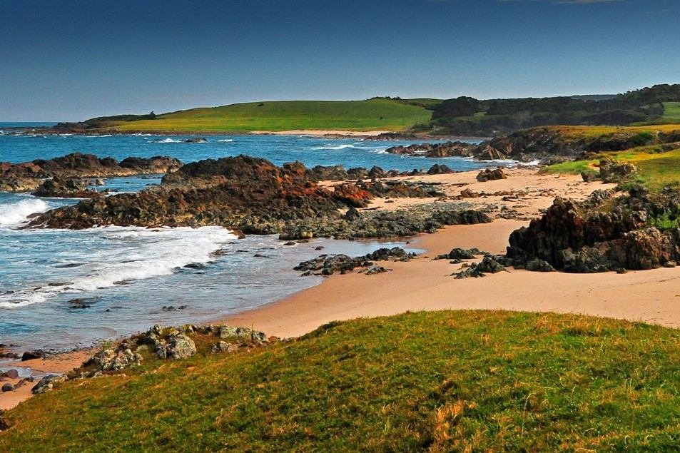 36708492_243543642907166_906964159382421504_n