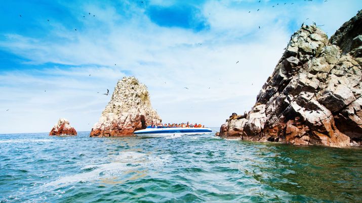The nutrient-rich waters surrounding the Ballestas Islands attract a variety of fish, contributing to the abundance of marine life and making it a prime spot for fishing enthusiasts