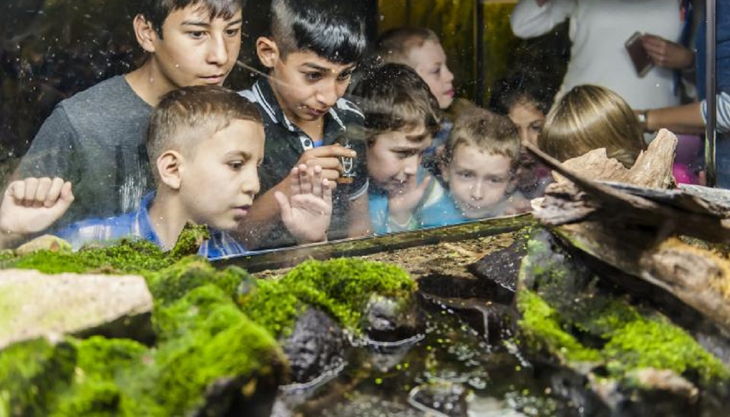 naturkundemuseum kinder mit grasfrosch