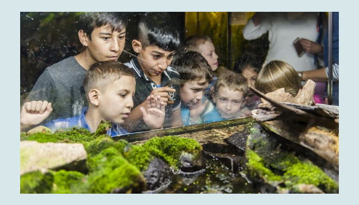 naturkundemuseum kinder mit grasfrosch