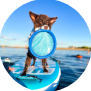 Funwater stand up paddle board inflatable