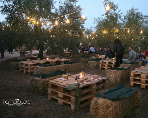 Food & Wine Tours Corato: Trani: Apulian evo oil experience with light dinner