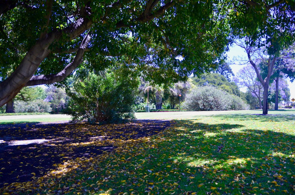 Hyde Park (HP 2)