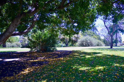 Hyde Park (HP 2)