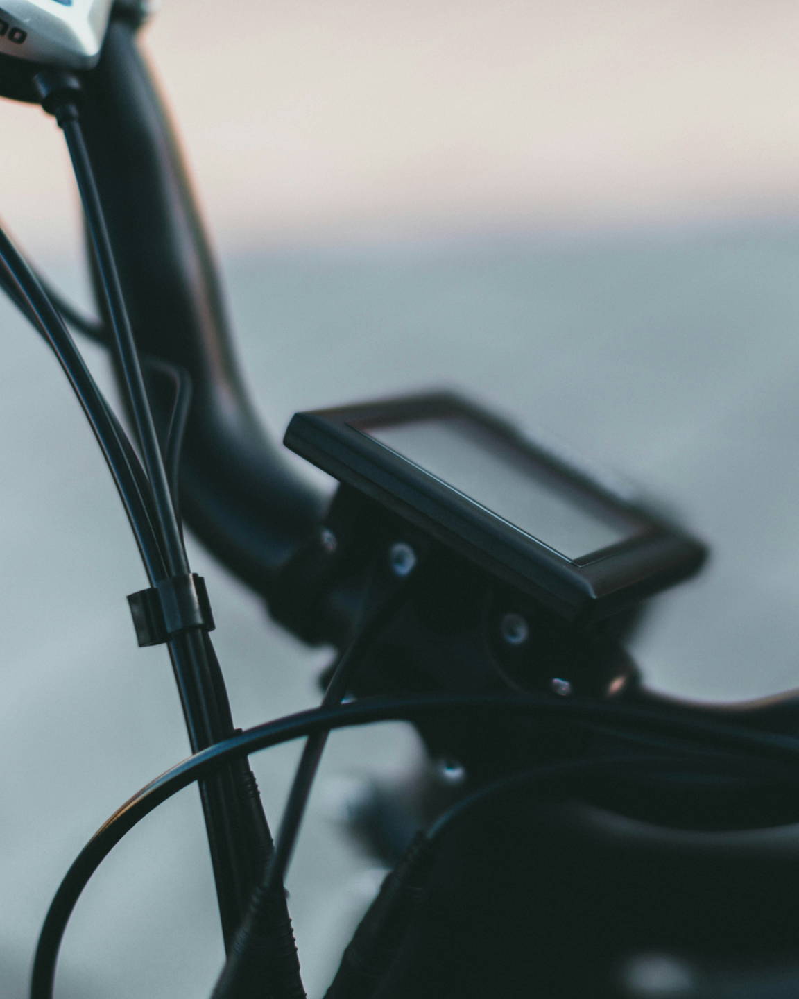 mountain bike elettrica