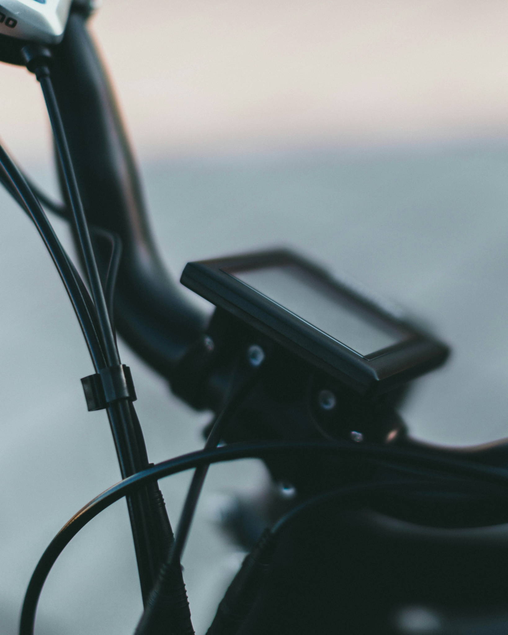 mountain bike elettrica
