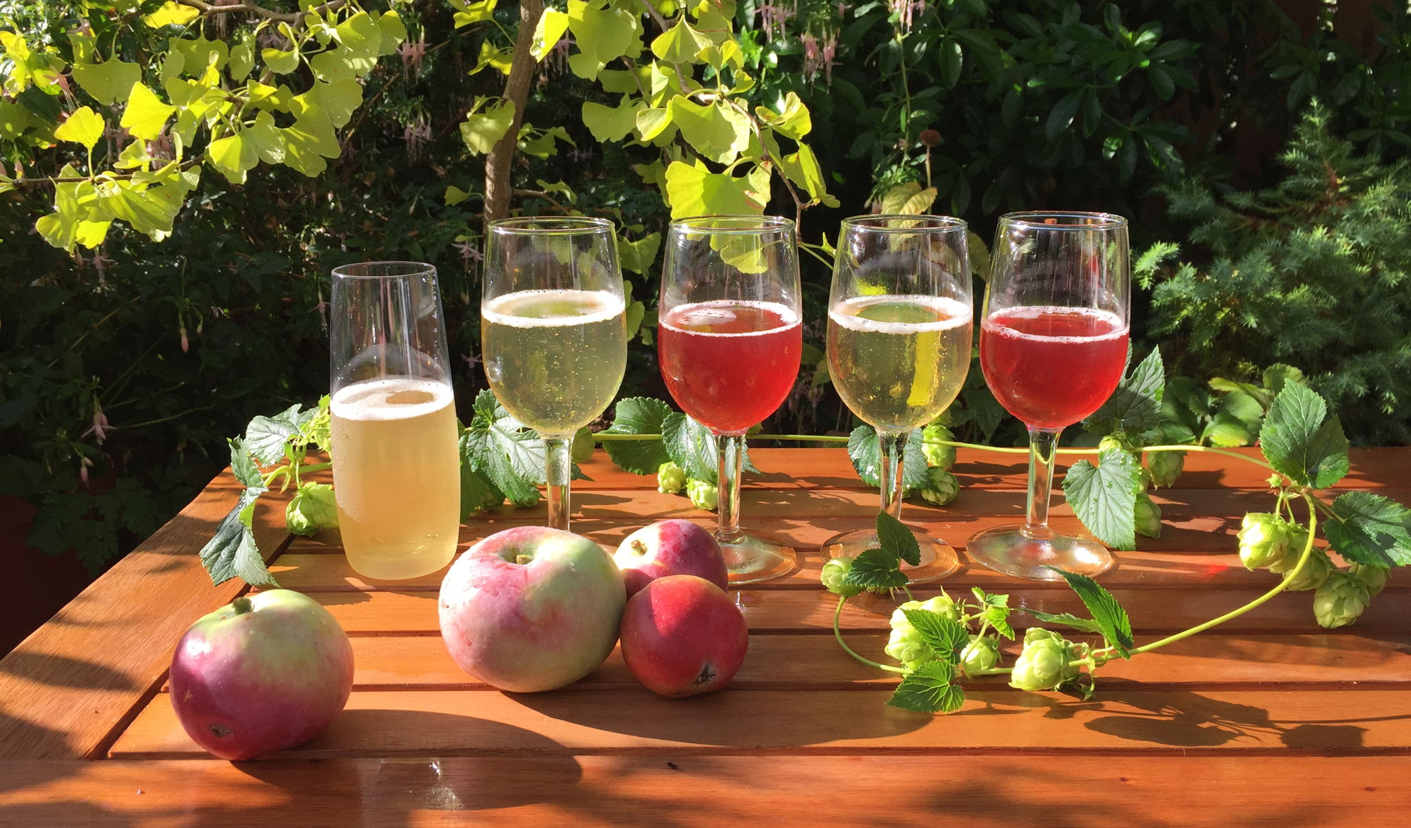 Orchard images including fig, hops and apples