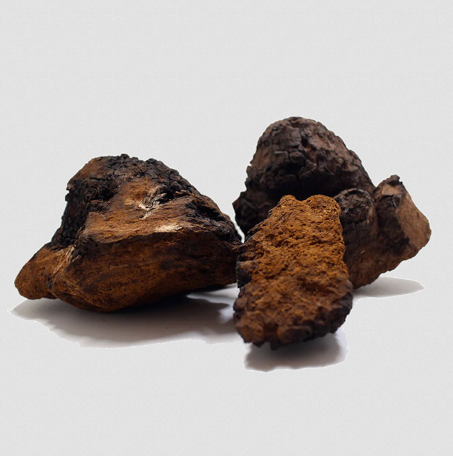 Concentrated Organic Chaga Mushroom Powder - Image 3