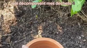 Main Content Image