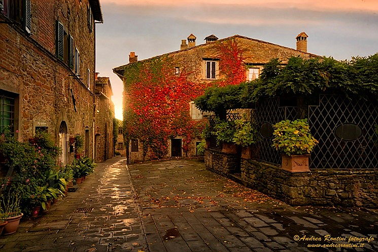  Siena (SI)
- autunno in chianti ar6.jpg