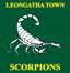 Leongatha town cricket club logo