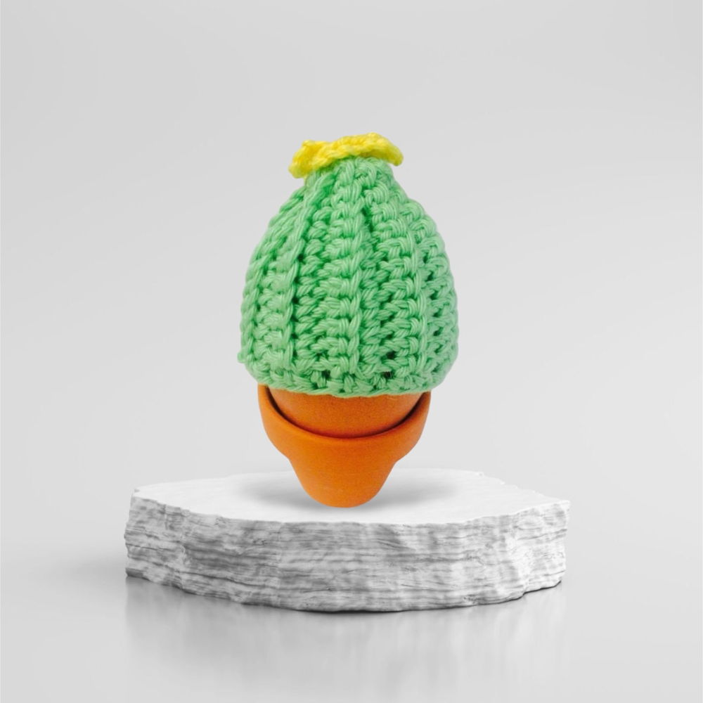 Cactus egg warmer
