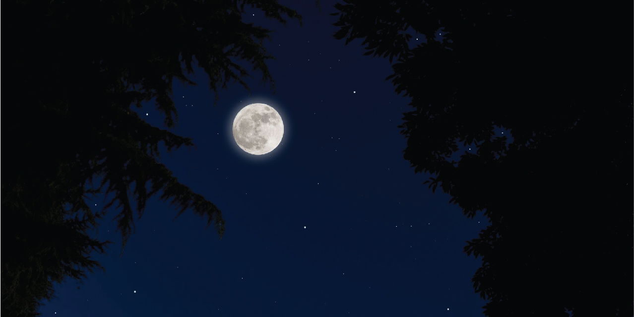 Night Sky at Lauritzen Gardens: First Quarter Moon and Spring Constellations promotional image