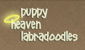 Puppy Heaven Labradoodles logo