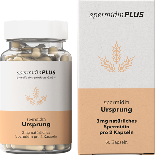 Spermidin Ursprung (3 mg TD) - Complément Alimentaire Stress-oxydatif
