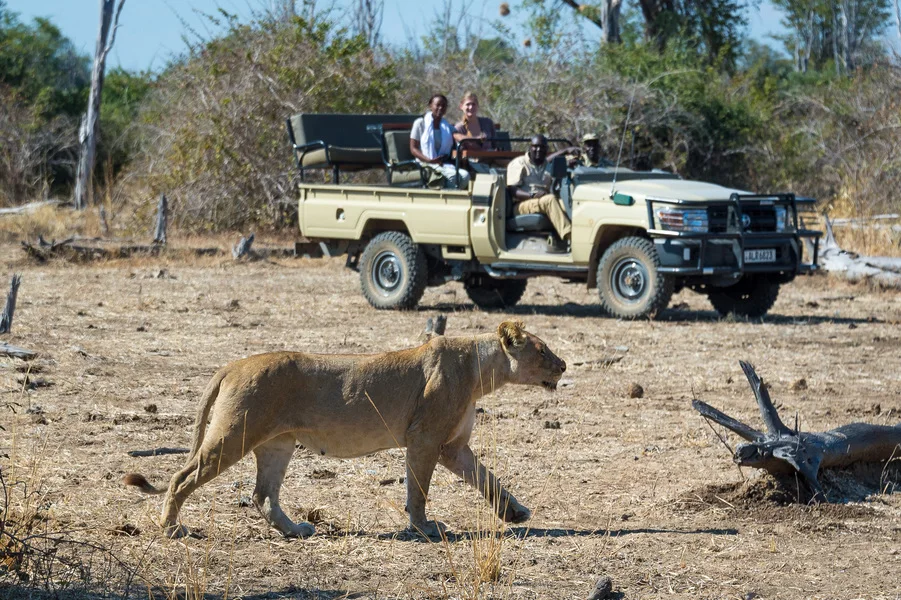 9 Day Best of Zambezi & Luangwa Safari