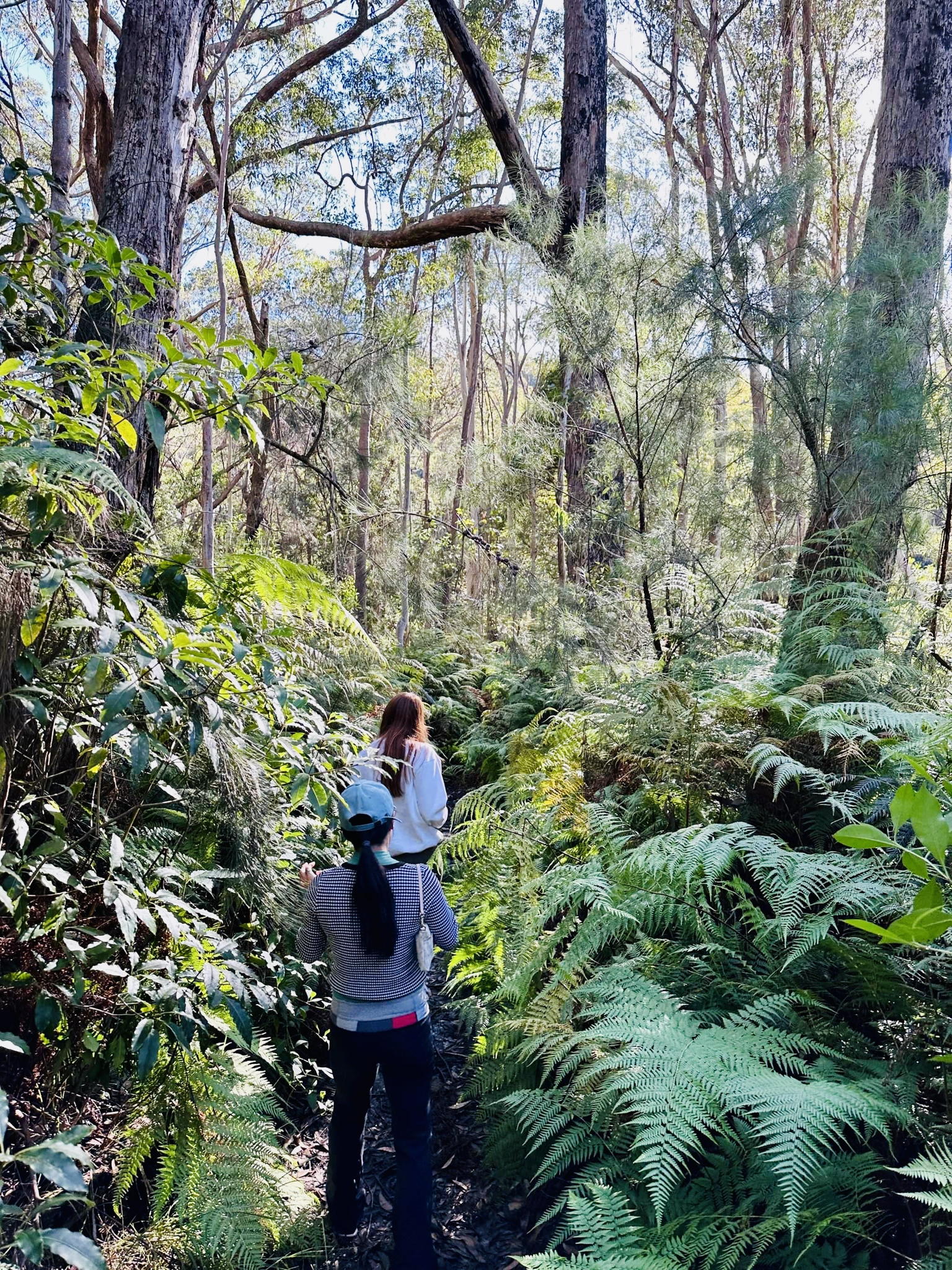 Day Spa Retreat Group of 10 people - Image 11