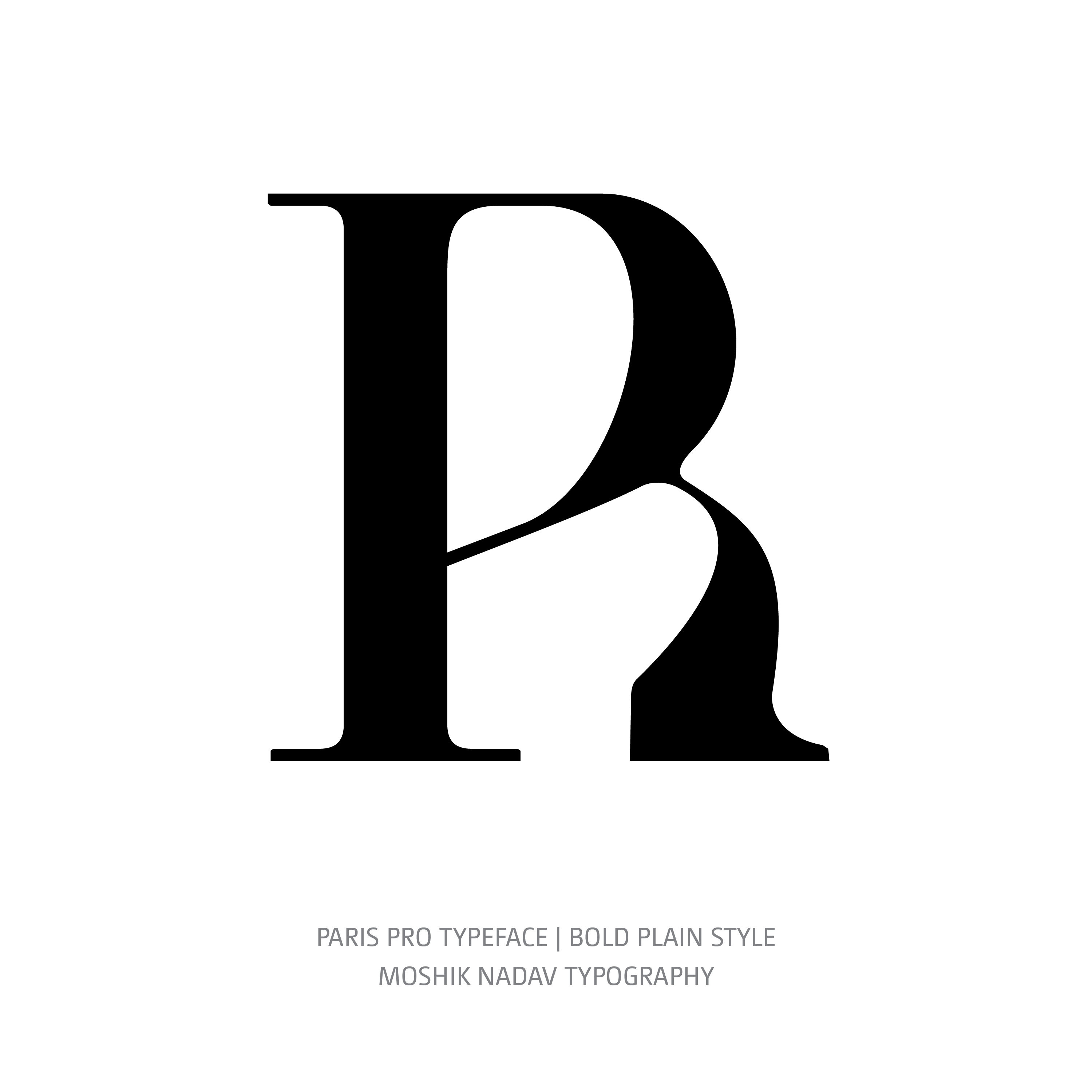 Paris Pro Typeface Bold Plain R