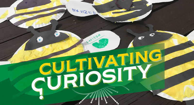 Cultivating Curiosity
