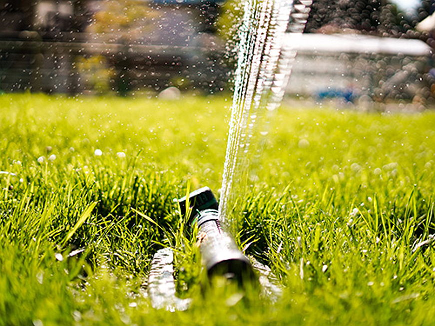  Bolzano
- Uno smart garden offre comfort e opportunità di risparmio: dalle tecniche per l’irrigazione ai robot tagliaerba, ecco cosa c’è da sapere!