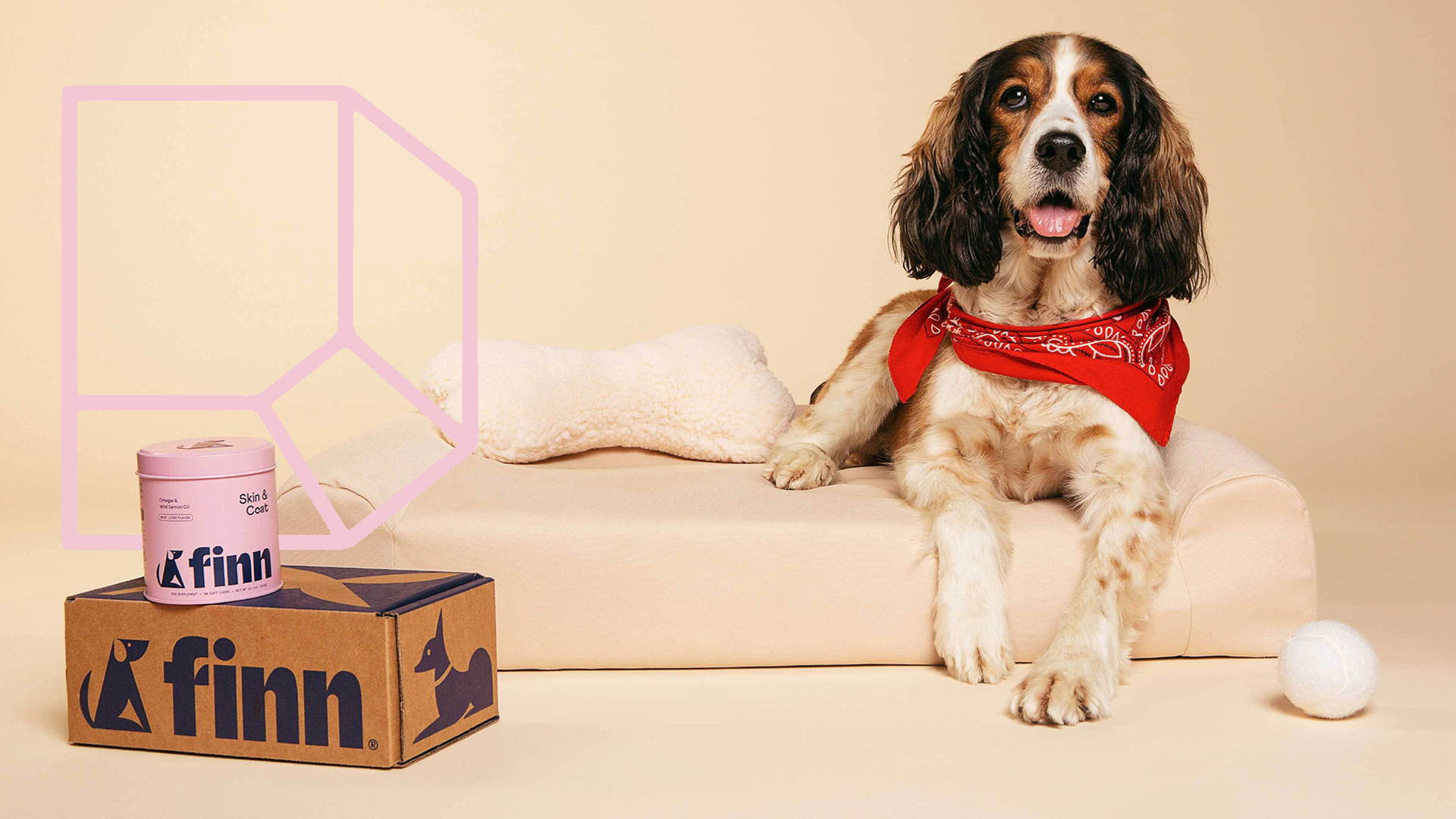 Featured image for How Gander Designed A Pet Wellness Brand For The Modern Pup