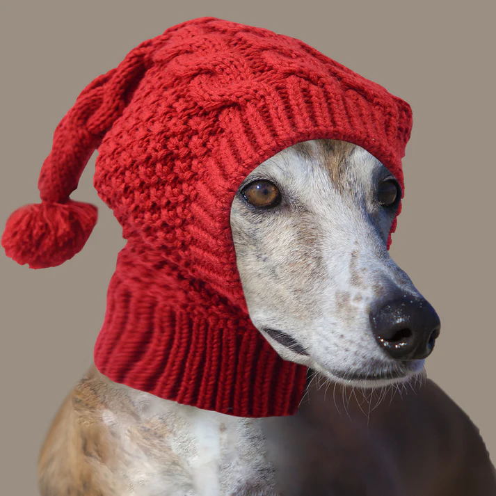 Red Whimsical Knit Dog Hat with Pom-Pom - Cozy Winter Pet Beanie & Snood